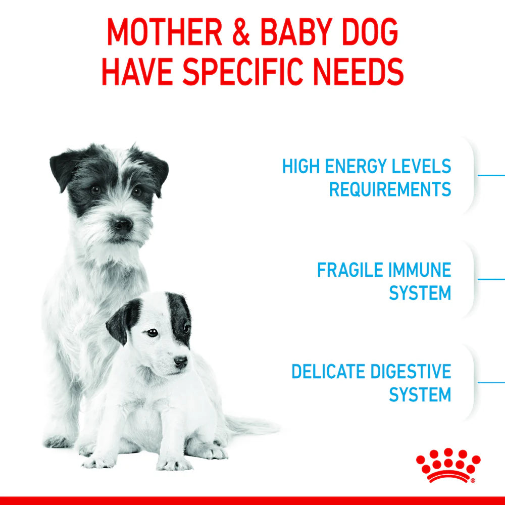 Royal Canin Starter Mini Mother & Baby 1-2 Months Dry Dog Food