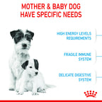 Royal Canin Stage 2 Starter Mini Mother & Baby 1-2 Months Dry Dog Food