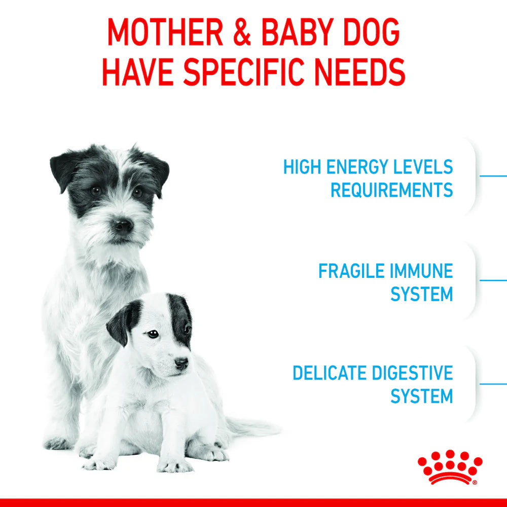 Royal Canin Stage 2 Starter Mini Mother & Baby 1-2 Months Dry Dog Food
