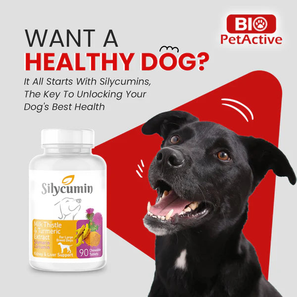 Bio Pet Active Silycumin For Kidney & Liver Support for Large Breed Dogs (45 Tablets)