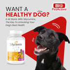 Bio Pet Active Silycumin For Kidney & Liver Support for Large Breed Dogs (45 Tablets)