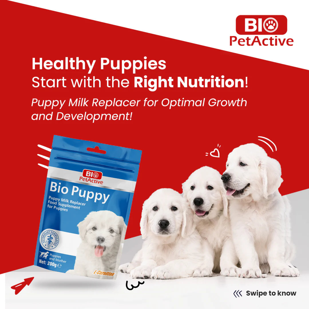Bio Pet Active Bio Puppy Food Supplement For Puppies 200gm