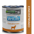 Farmina Vet Life Convalescence Canine Formula Dog Wet Food 300g