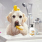 Wahl Oatmeal Shampoo for Dogs Coconut Lime Verbena 300ml