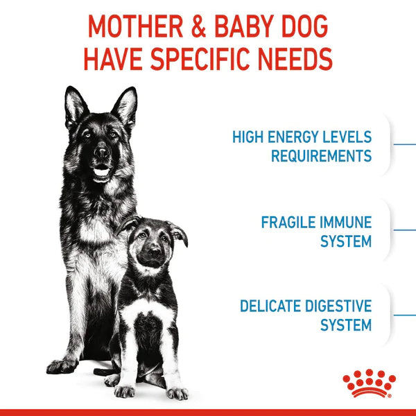 Royal Canin Maxi Starter Mother & Baby (For 1-2 Months/26-44kg of Dogs) Dry Dog Food
