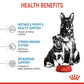 Royal Canin Maxi Starter Mother & Baby 1-2 Months Dog Dry Dog Food