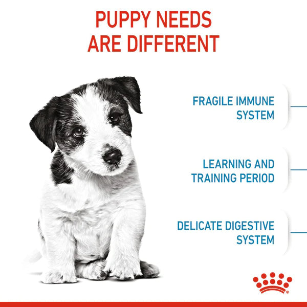 Royal Canin Puppy Mini 2-10 Months (For upto 10kg Puppy) Dry Dog Food