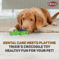 Trixie Crocodile Latex Squeaker Toy For Dogs 33cm