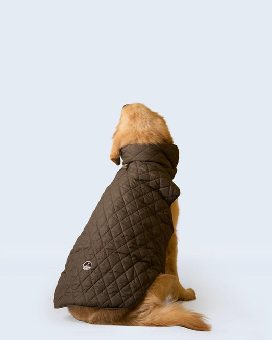 Pet Snugs Water-Resistant Top & Soft Cotton Lining Jacket For Your Furry Friend Olive Green