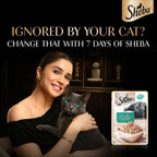Sheba Fish with Dry Skipjack Flavour Wet Cat Food 35g