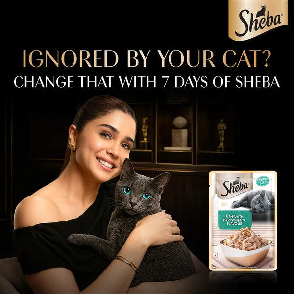 Sheba Fish with Dry Skipjack Flavour Wet Cat Food 35g
