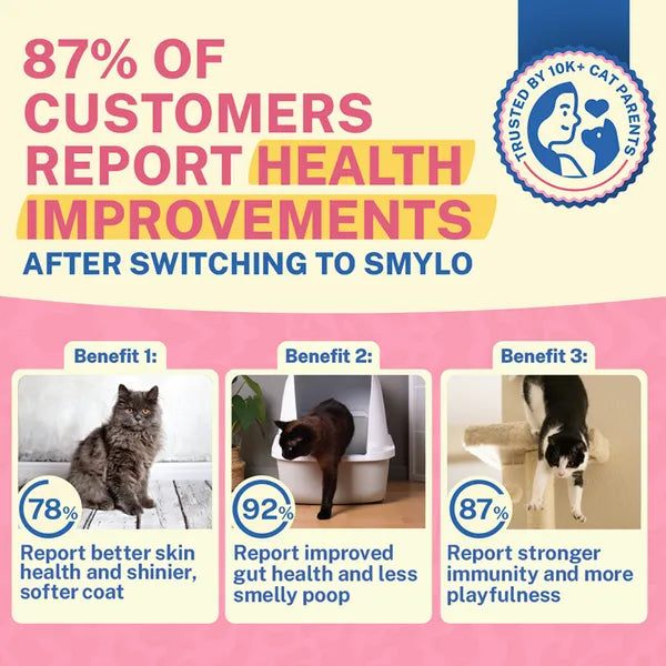 Smylo Adult Mackerel Kanikama & Cranberry, Fresh & No-Preservative Wet Cat Food 70g