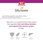 Bio Pet Active Silycumin For Kidney & Liver Support for Large Breed Dogs (45 Tablets)