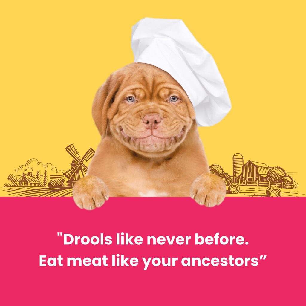 Dogfest Medallions with ostrich Dog Treats 90g