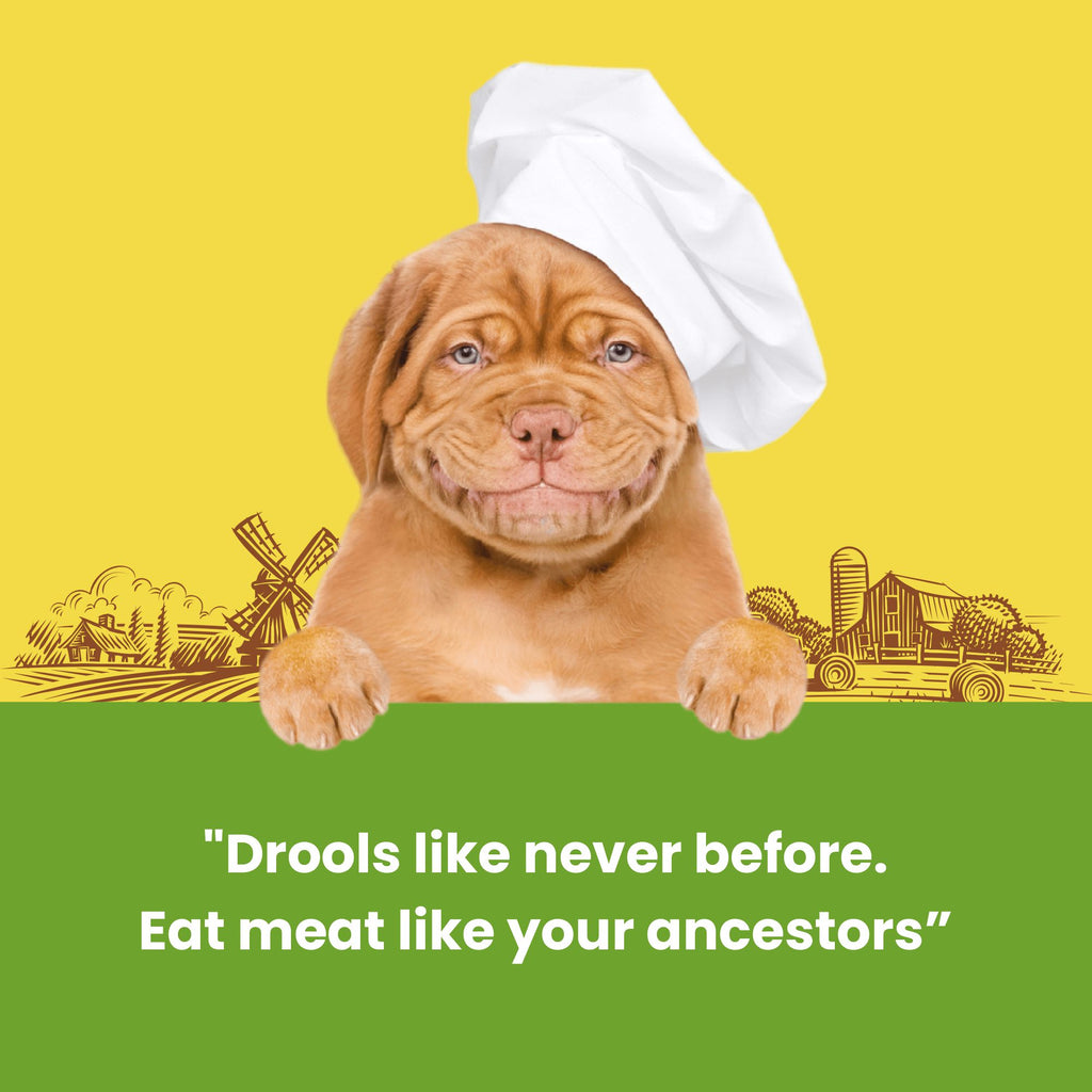 Dogfest Meat sticks rabbit Dog Treats 45g