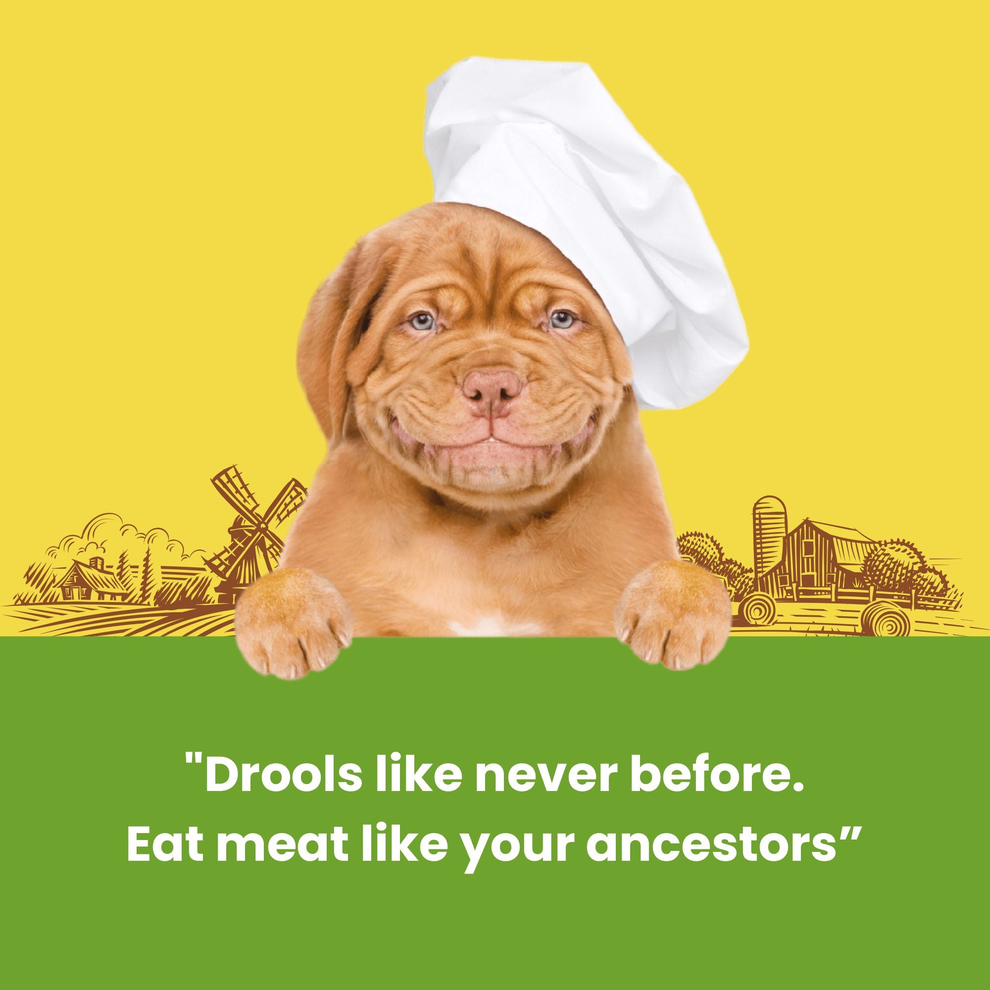 Dogfest Meat sticks rabbit Dog Treats 45g
