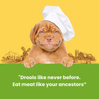 Dogfest Chicken tenders Dog Treats 90g