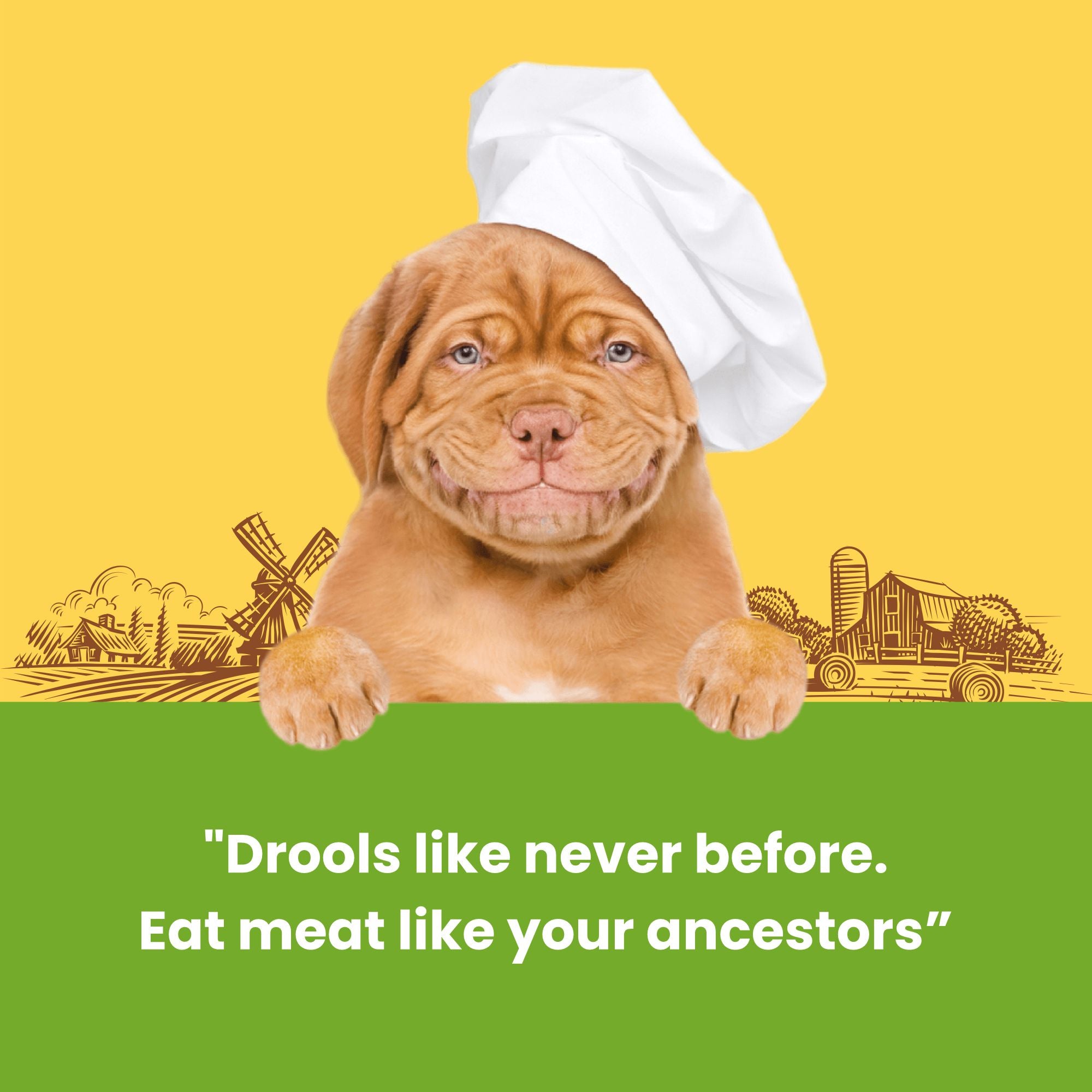 Dogfest Chicken tenders Dog Treats 90g
