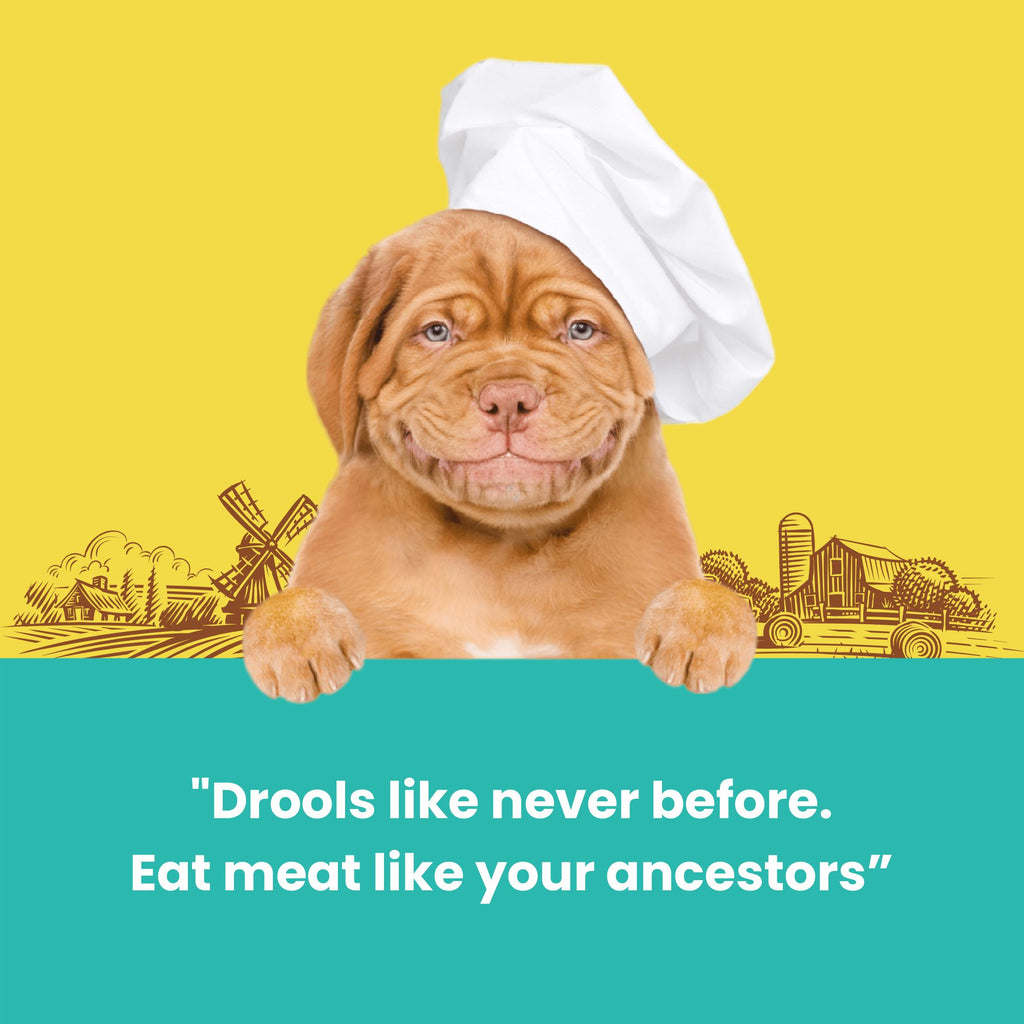 Dogfest Meat sticks with ostrich Dog Treats 45g