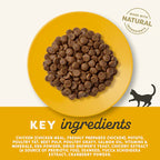 Applaws Chicken Adult Cat Complete Natural and Grain Free Dry Cat Food