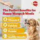 Pedigree Chicken Flavour Biscrok Dog Biscuits Dog Treats 900g