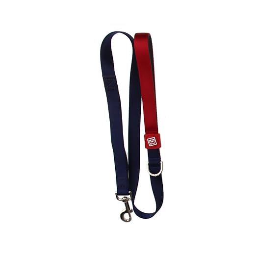 Gigwi Premium Line Soft Padding with Reflective Material Dog Leash For Dogs Blue 25x120cm (XL)