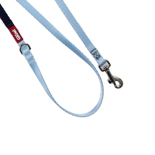 Gigwi Premium Line Soft Padding with Reflective Material Dog Leash For Dogs Blue 10mmx120cm (Small)