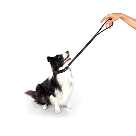 Trixie Premium Leash For Dog Black