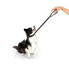Trixie Premium Leash For Dog Black