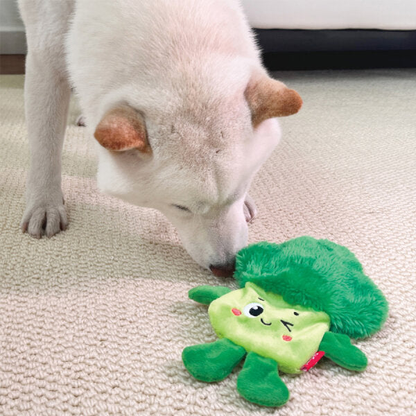 Gigwi Suppa Puppa Broccoli Squeak Dog Toy Small