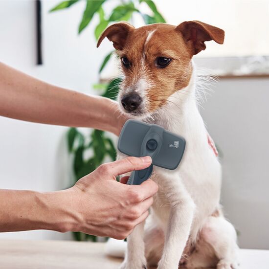 Gigwi Self Cleaning Slicker Brush For Pets 16.51 x 9.91 x 6.60cm