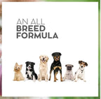 Drools Vet Pro Gastrointestinal Dry Dog Food 3kg