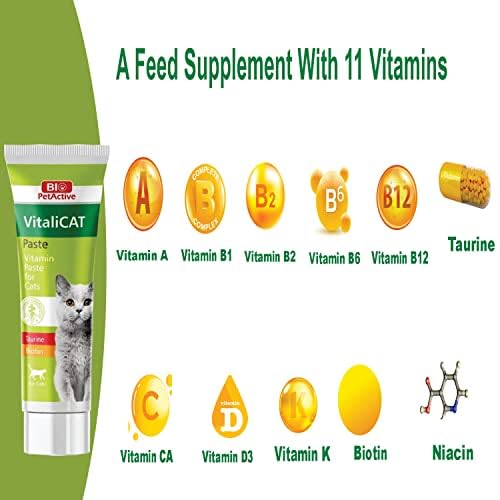 Bio Pet Active Vitali Cat Multivitamin Paste For Cats 100ml