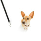 Trixie Premium Leash For Dog Black