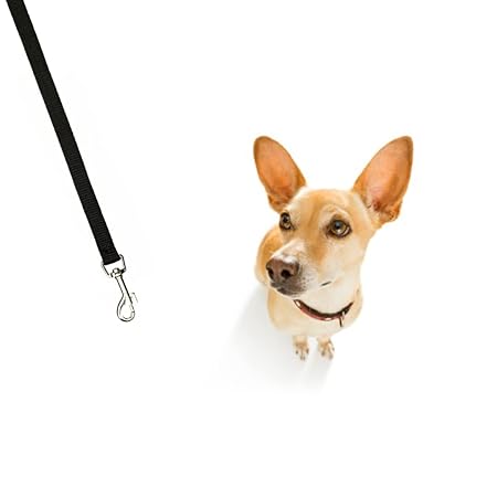 Trixie Premium Leash For Dog Black