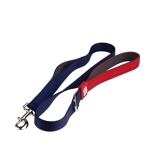 Gigwi Premium Line Soft Padding with Reflective Material Dog Leash For Dogs Blue 25x120cm (XL)