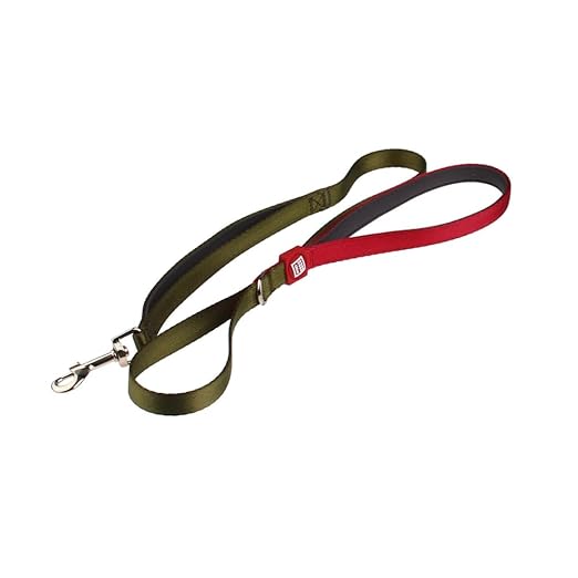 Gigwi Premium Line Soft Padding with Reflective Material Dog Leash For Dogs Green 15mmx120cm (Medium)