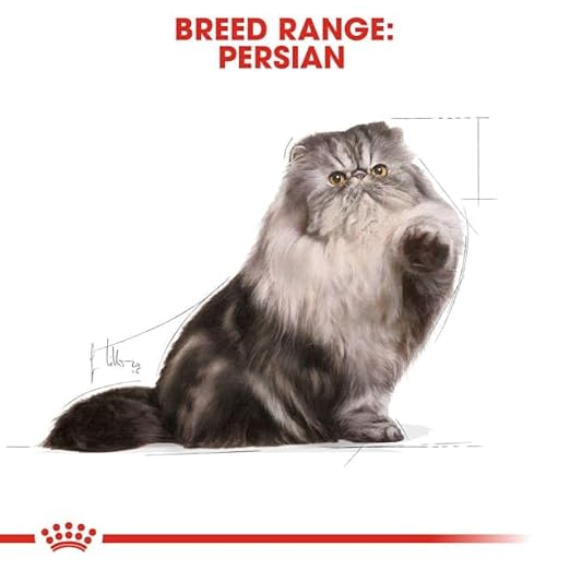 Royal Canin Loaf-Mousse Adult Persian Wet Cat Food 85g