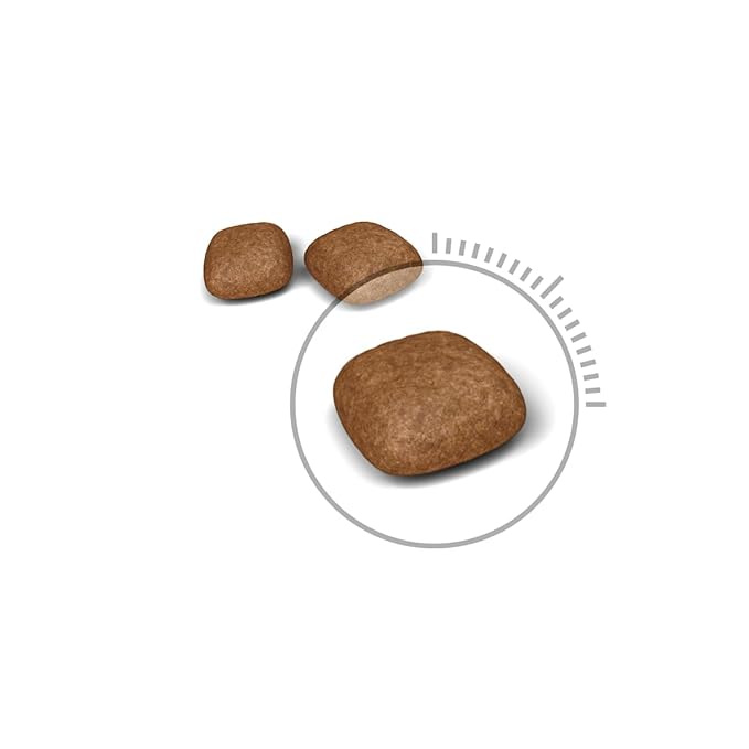 Royal Canin Urinary Care Cat Dry Food 400g