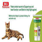 Bio Pet Active Vitali Cat Multivitamin Paste For Cats 100ml