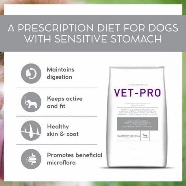 Drools Vet Pro Gastrointestinal Dry Dog Food 3kg
