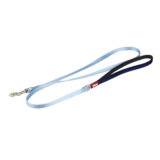 Gigwi Premium Line Soft Padding with Reflective Material Dog Leash For Dogs Blue 10mmx120cm (Small)