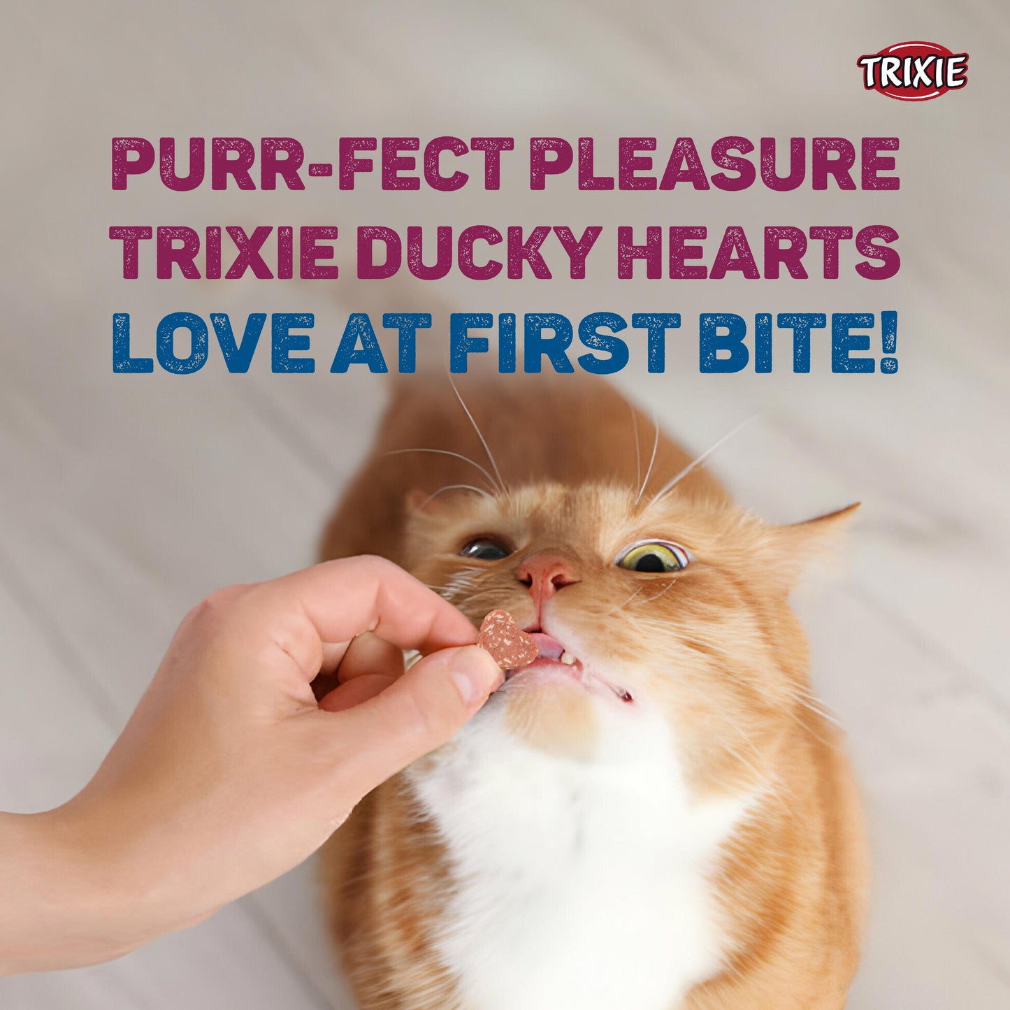 Trixie PREMIO Ducky Hearts Treat for Cat 50g