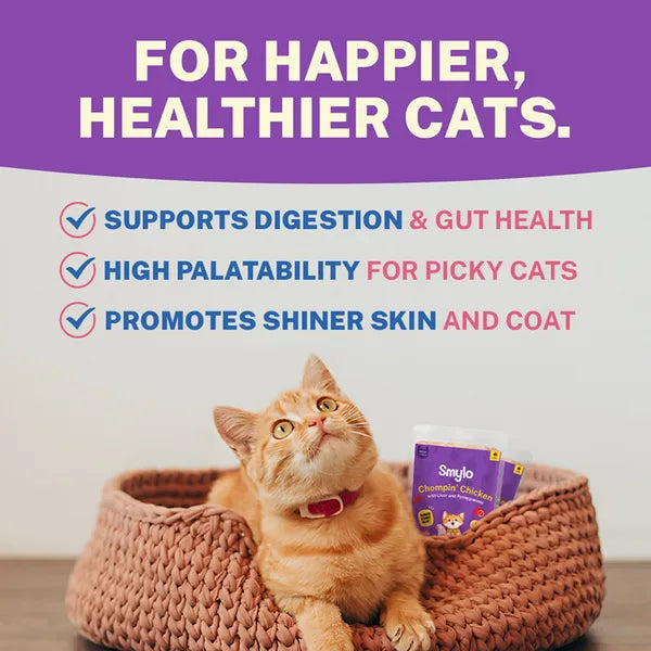 Smylo Kitten Chicken & Liver, Pomegranate, Fresh & No-Preservative Wet Cat Food 70g