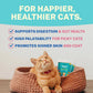 Smylo Adult Tuna Salmon & Pumpkin, Fresh & No-Preservative Wet Cat Food 70g