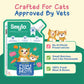 Smylo Hydration Rich Fish with Pumpkin, Broccoli and Raspberry Bone Broth for Cats 100ml
