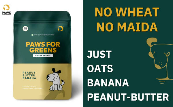 Paws For Greens Dog Treats Plant-Based Healthy Vegan Biscuits for Dogs with Peanut Butter and Banana 100gm