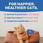 Smylo Adult Chicken Tuna & Rosemary, Fresh & No-Preservative Wet Cat Food 70g