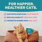 Smylo Kitten Tuna Salmon, Pumpkin, Fresh & No-Preservative Wet Cat Food 70g