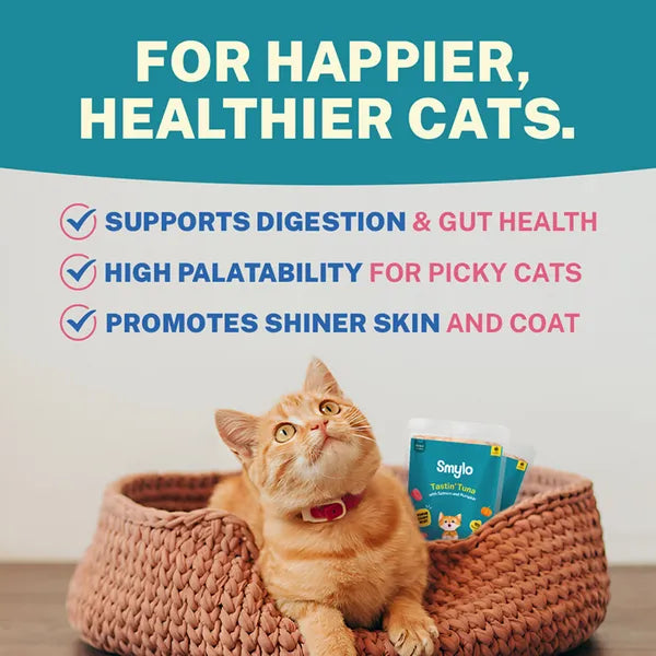 Smylo Kitten Tuna Salmon, Pumpkin, Fresh & No-Preservative Wet Cat Food 70g